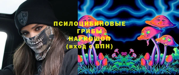 спиды Абаза