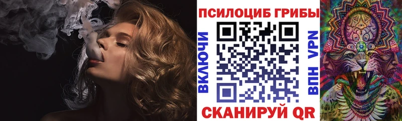 Галлюциногенные грибы мицелий  Устюжна 